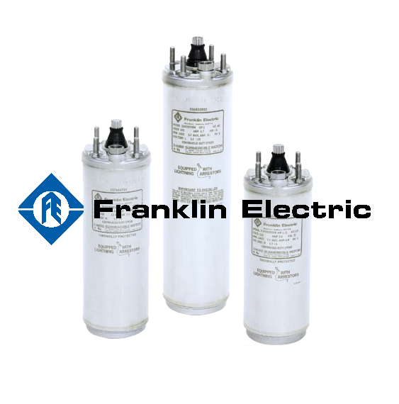 Bơm chìm giếng khoan & Motor FRANKLIN ELECTRIC - Ảnh 4